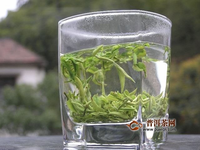 竹叶青泡水喝的功效，竹叶青茶的泡法