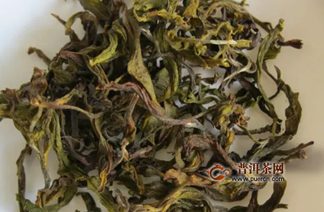 白鸡冠岩茶品种的特点