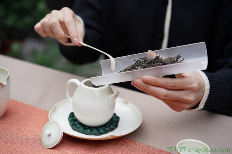 单株、古树、假茶……竟是乾隆朝茶文化关键词！