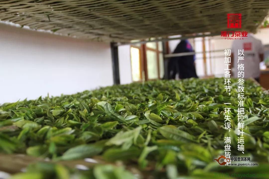 新派滇红·动态 | 滇红茶史上首个“茶王”将亮相滇茶杯新闻发布会及扶贫公益拍卖会