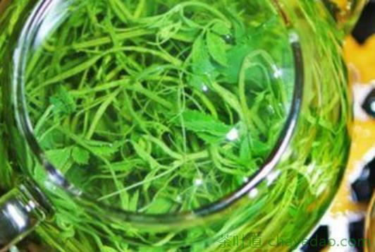 绿萝花茶可以减肥吗？