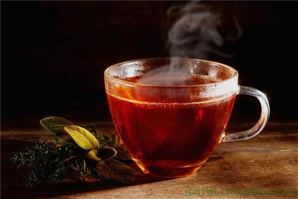 乌龙茶是什么茶种
