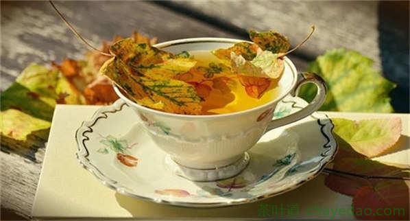 黄山贡菊茶的功效与作用及禁忌 黄山贡菊茶的功效与禁忌