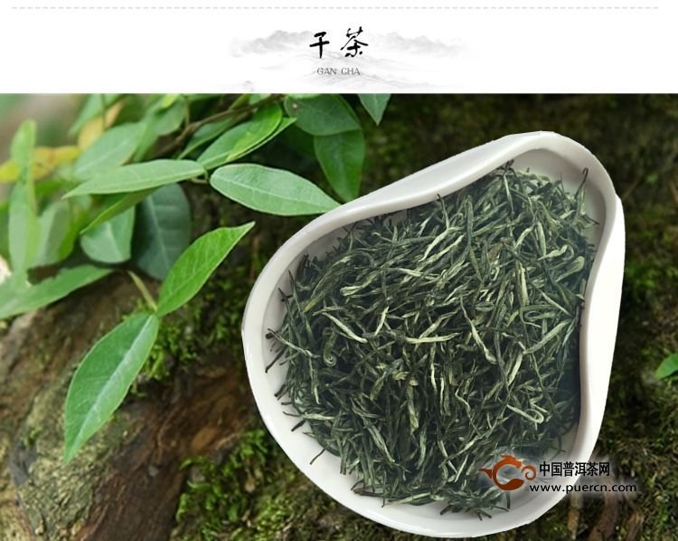 庐山云雾茶的保健养生功效及其禁忌都有哪些？