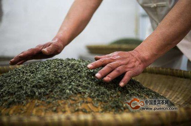 浙江安吉白茶怎么制作？安吉白茶的制作过程