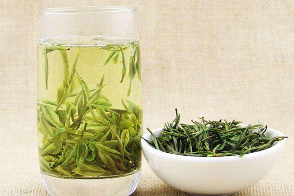 安吉白茶是绿茶的一种-茶知识扫盲