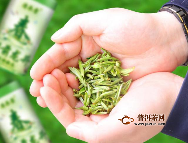 竹叶青雀舌茶的区别，竹叶青茶的制作工艺