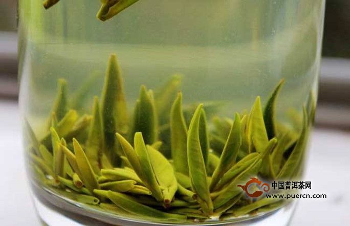 竹叶青茶有什么作用吗