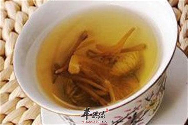 连翘金银花茶——清热解毒抗菌