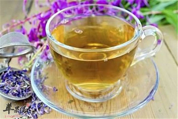 连翘金银花茶——清热解毒利尿强心