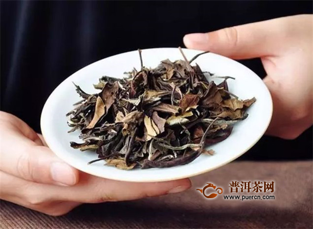 福建寿眉茶是红茶还是绿茶呢？