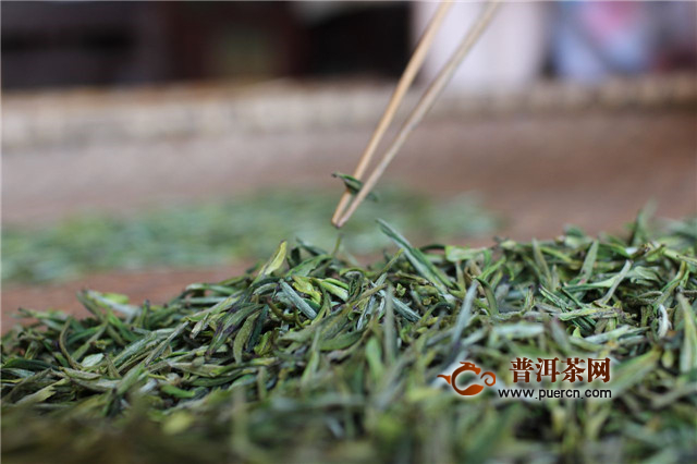 霍山黄芽茶的制作过程，分采摘、杀青等工序！