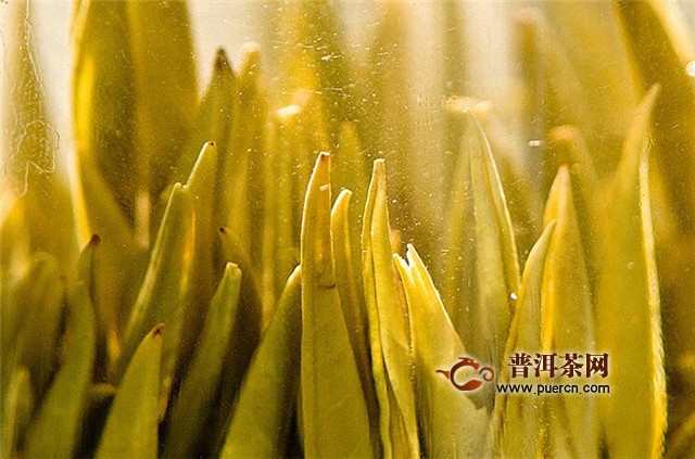 霍山黄芽的制作工艺，有杀青、毛火、焖黄等工序！