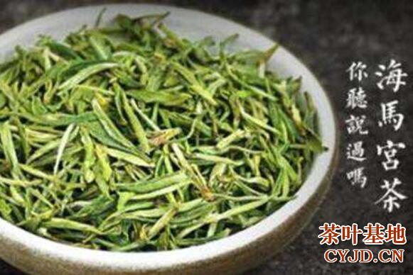海马宫茶属于什么茶，海马宫茶的品质特征