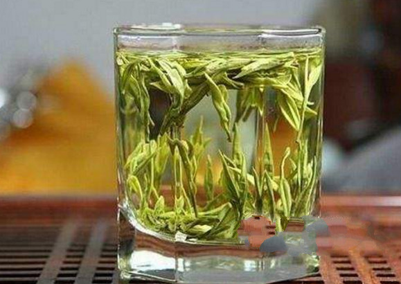 广东大叶青制造工序 黄茶制作的过程