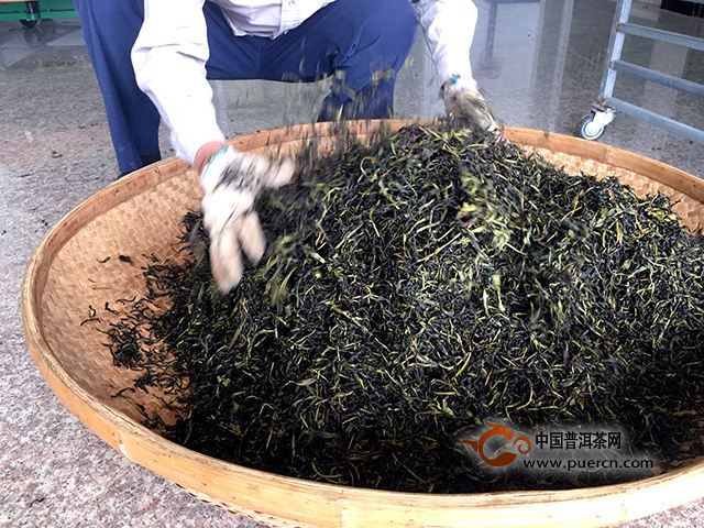 凤凰单丛制茶工艺流程