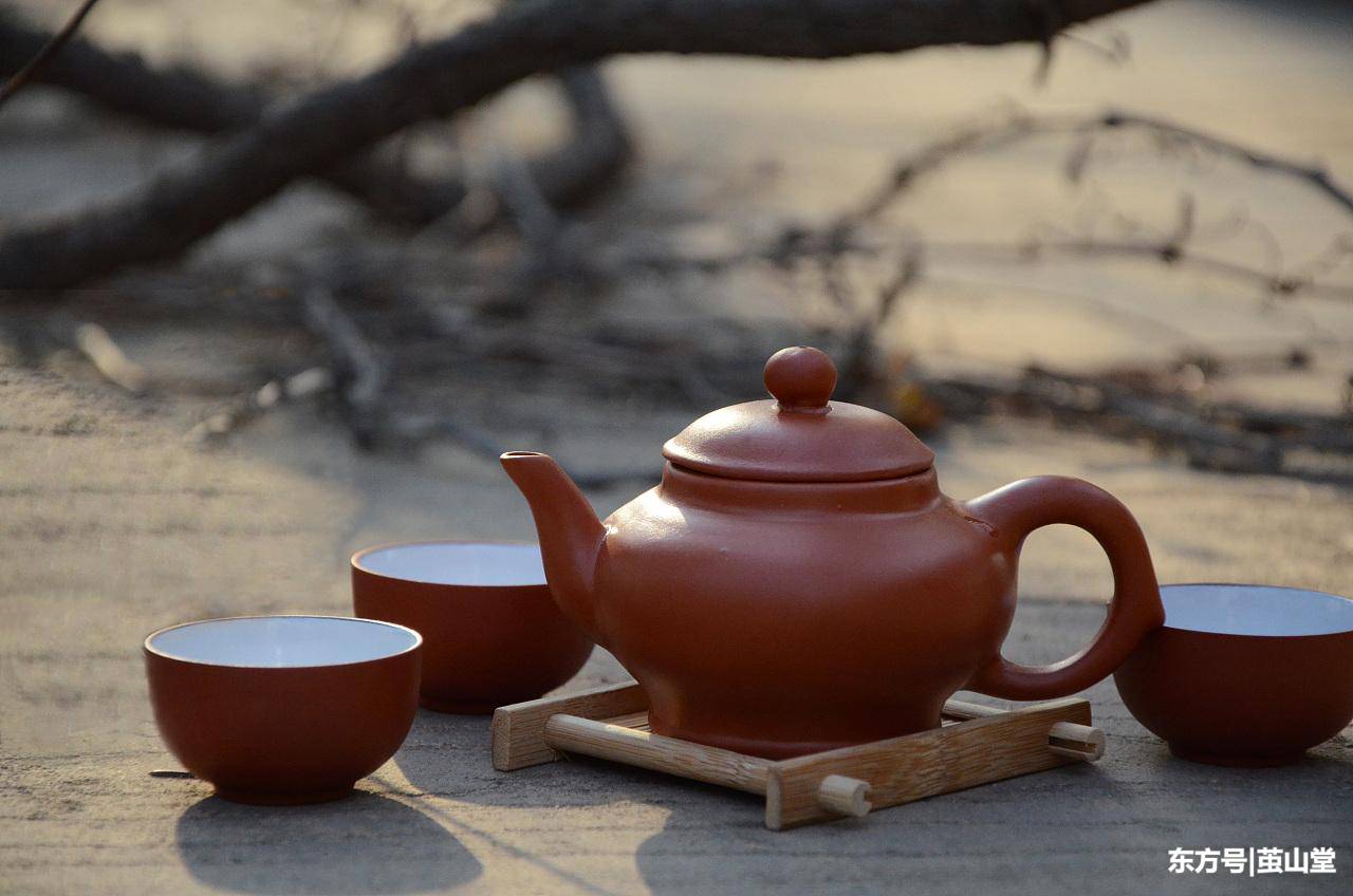 3大理由解析，冲泡新白茶，该用紫砂壶还是用白瓷盖碗