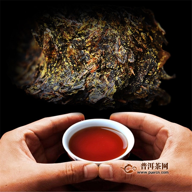 六堡茶作为黑茶，有什么样的特点？