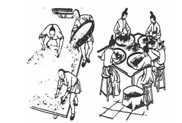 传统工艺六堡茶，繁复的工序，时间的艺术