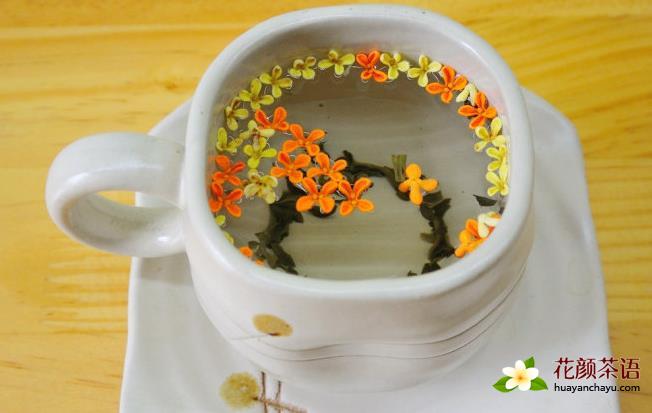 桂花茶的制作方法 教你怎么做2款暖脾胃桂花茶