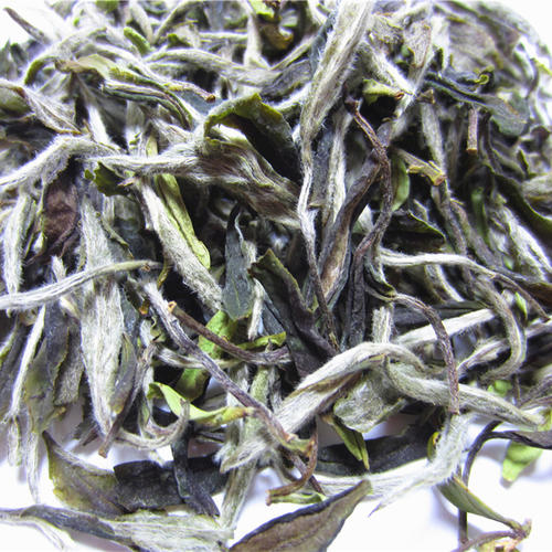 白牡丹花茶的功效 白牡丹茶多少钱一斤