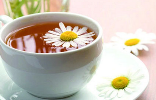 春天可以喝菊花茶吗 好处有哪些