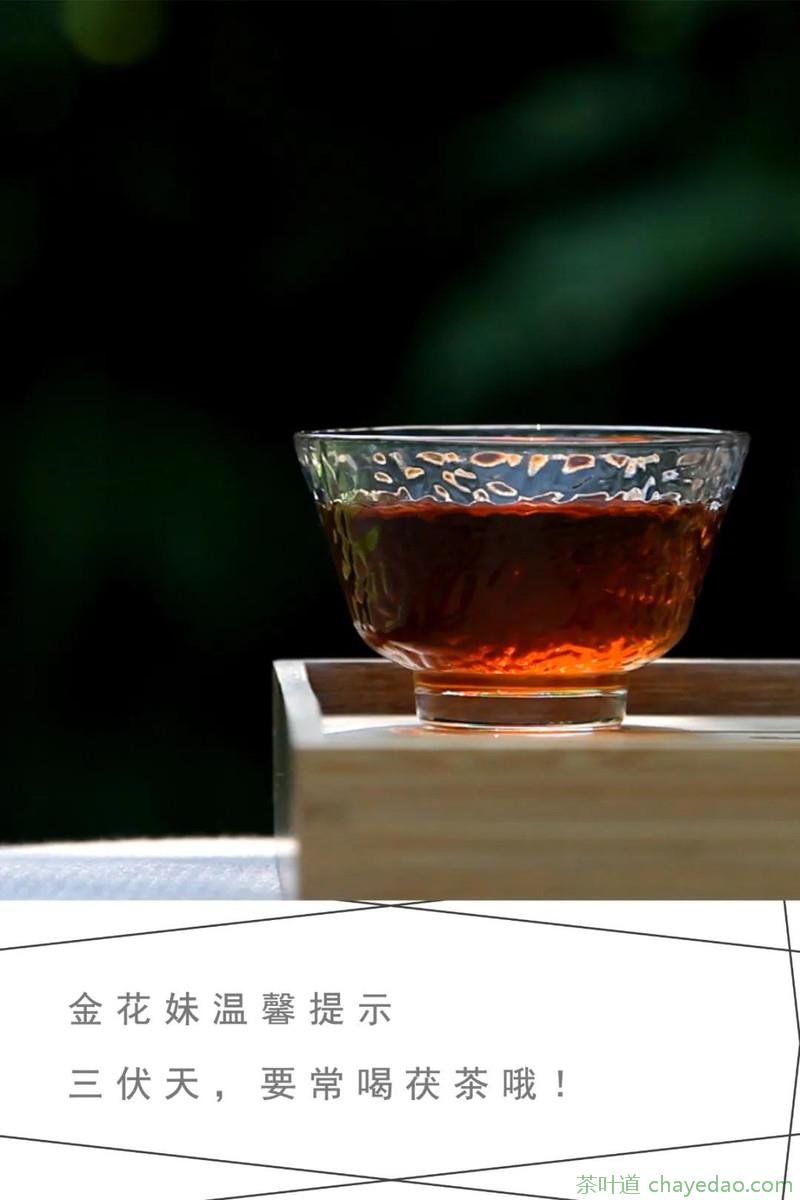 泾渭茯茶：遇见茯茶 生活有了哪些惊喜？