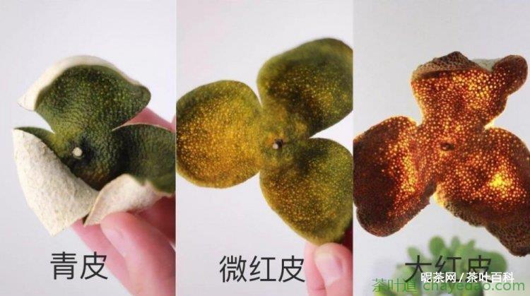 新会青柑与大红柑皮的区别