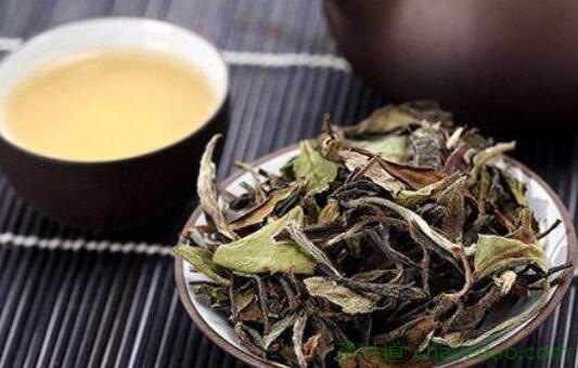 哪些人不能喝寿眉茶 喝寿眉茶的副作用与禁忌