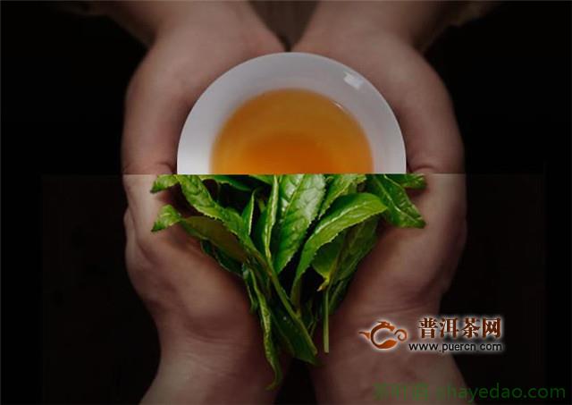 铁罗汉茶的功效与作用，有提神益思等作用！