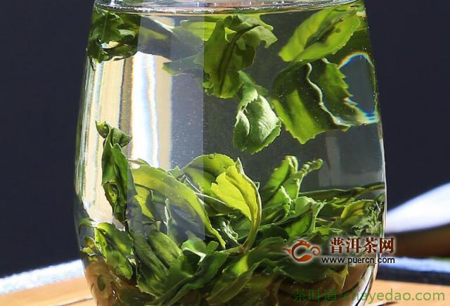 六安瓜片的泡茶方法，这样泡滋味鲜醇浓厚、回甘！