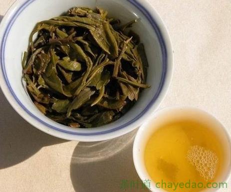 普洱茶和广东大叶青制作工艺的区别