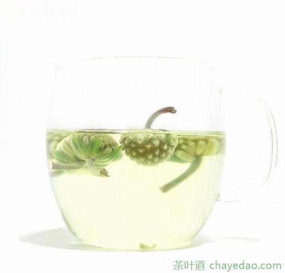 绿萝花茶的功效和作用 绿萝花茶哪种人不能喝