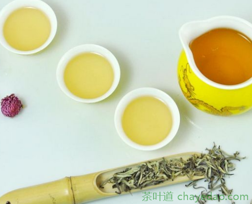 竹叶青茶的冲泡方法 选择什么茶具好 竹叶青茶的冲泡次数