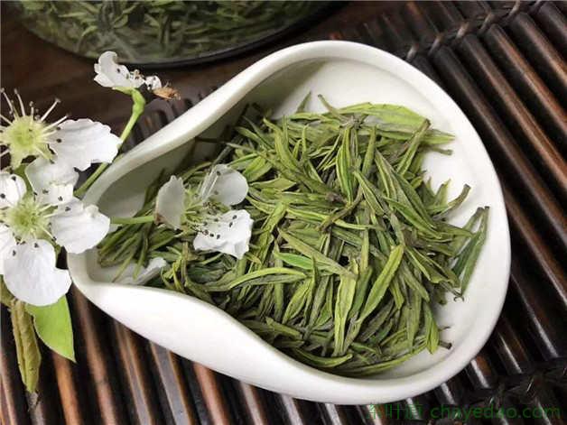 安吉白茶文化
