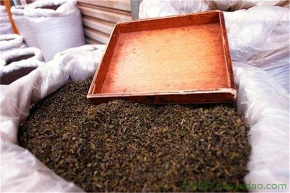 安吉白茶是什么茶品种