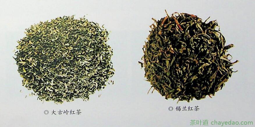 红茶的分类有哪些(1)