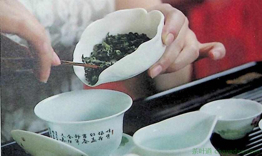 青茶用什么茶具泡(2)