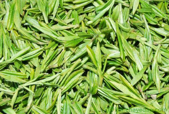 安吉白茶是白茶还是绿茶 安吉白茶的制作工艺