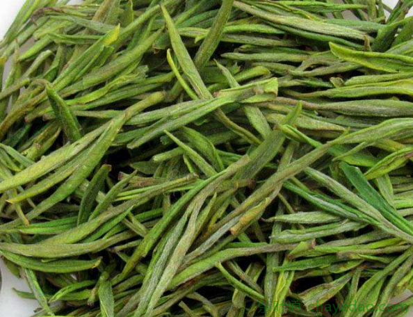 安吉白茶的营养价值及作用 安吉白茶属于绿茶吗
