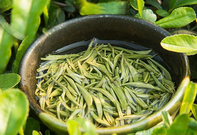 安吉白茶的营养成分 ​安吉白茶的功效 ​安吉白茶有美白养颜的作用