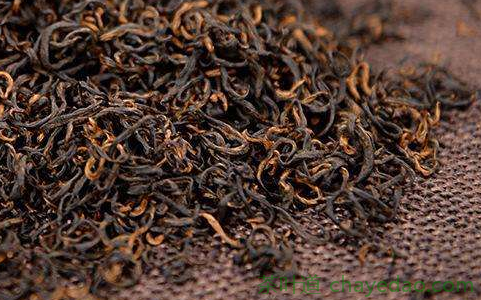 正山小种的禁忌 正山小种的作用 正山小种红茶可以减肥吗