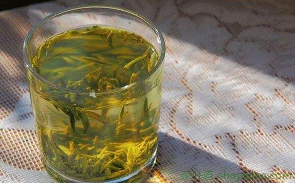 秋季喝青茶，铁观音最著名