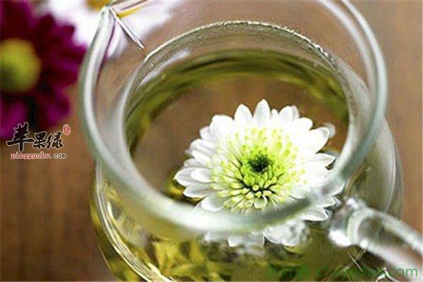 喝黄芪菊花茶有益身体健康