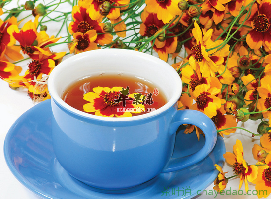 菊花茶适宜与多种花搭配饮用效果更佳