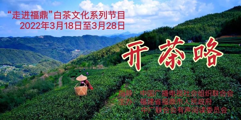 清风徐来茶自香“走进福鼎” 白茶文化系列